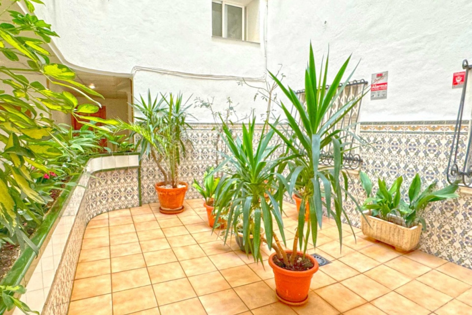 Herverkoop - Appartement / flat - Torrevieja - Playa del Cura