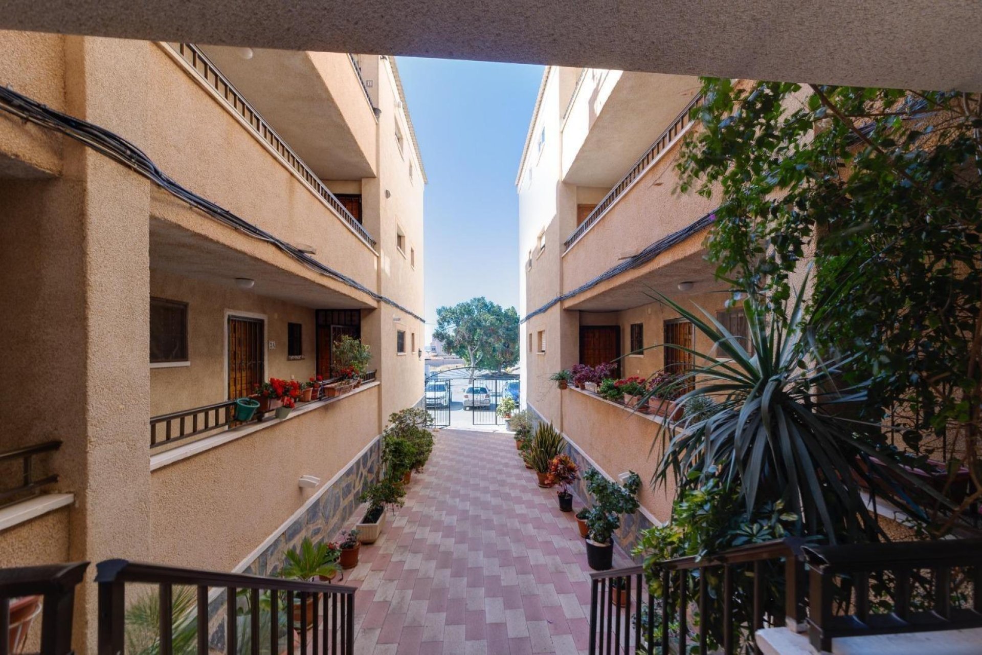 Herverkoop - Appartement / flat - Torrevieja - Torretas