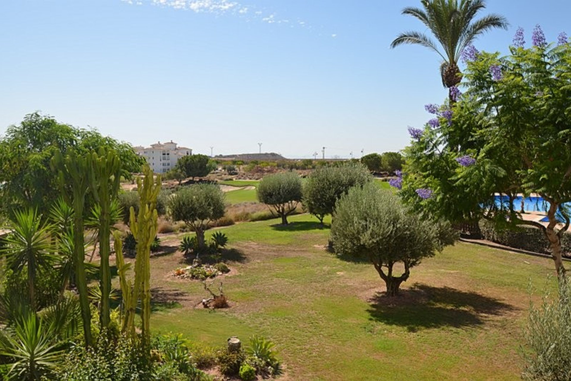 Herverkoop - Appartement - Hacienda Riquelme Golf Resort - Hacienda Riquelme Golf
