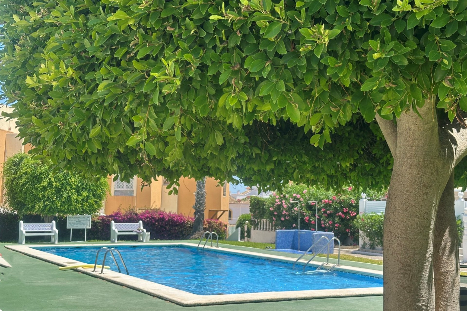 Herverkoop - Appartement - La Mata