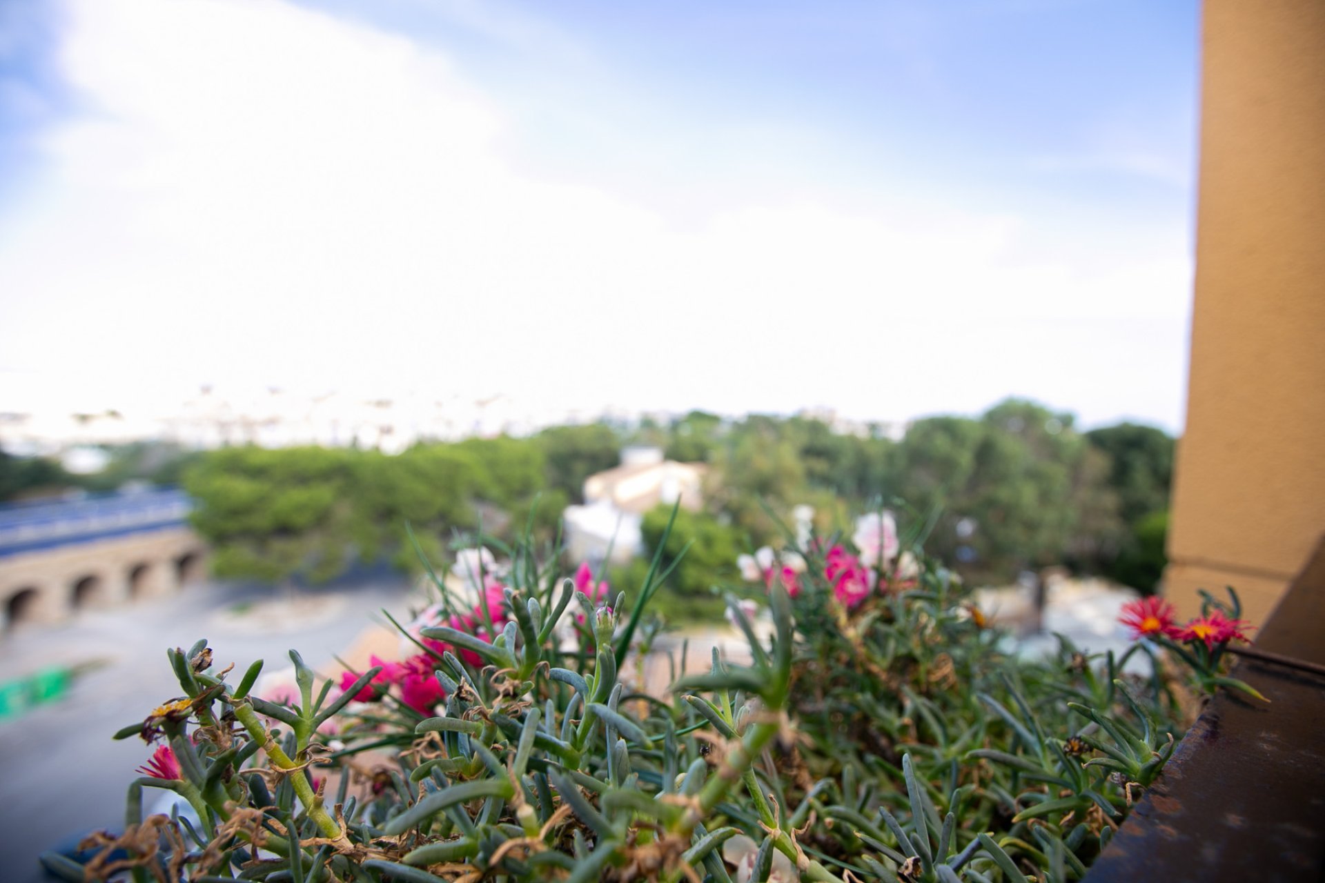 Herverkoop - Appartement - La Zenia