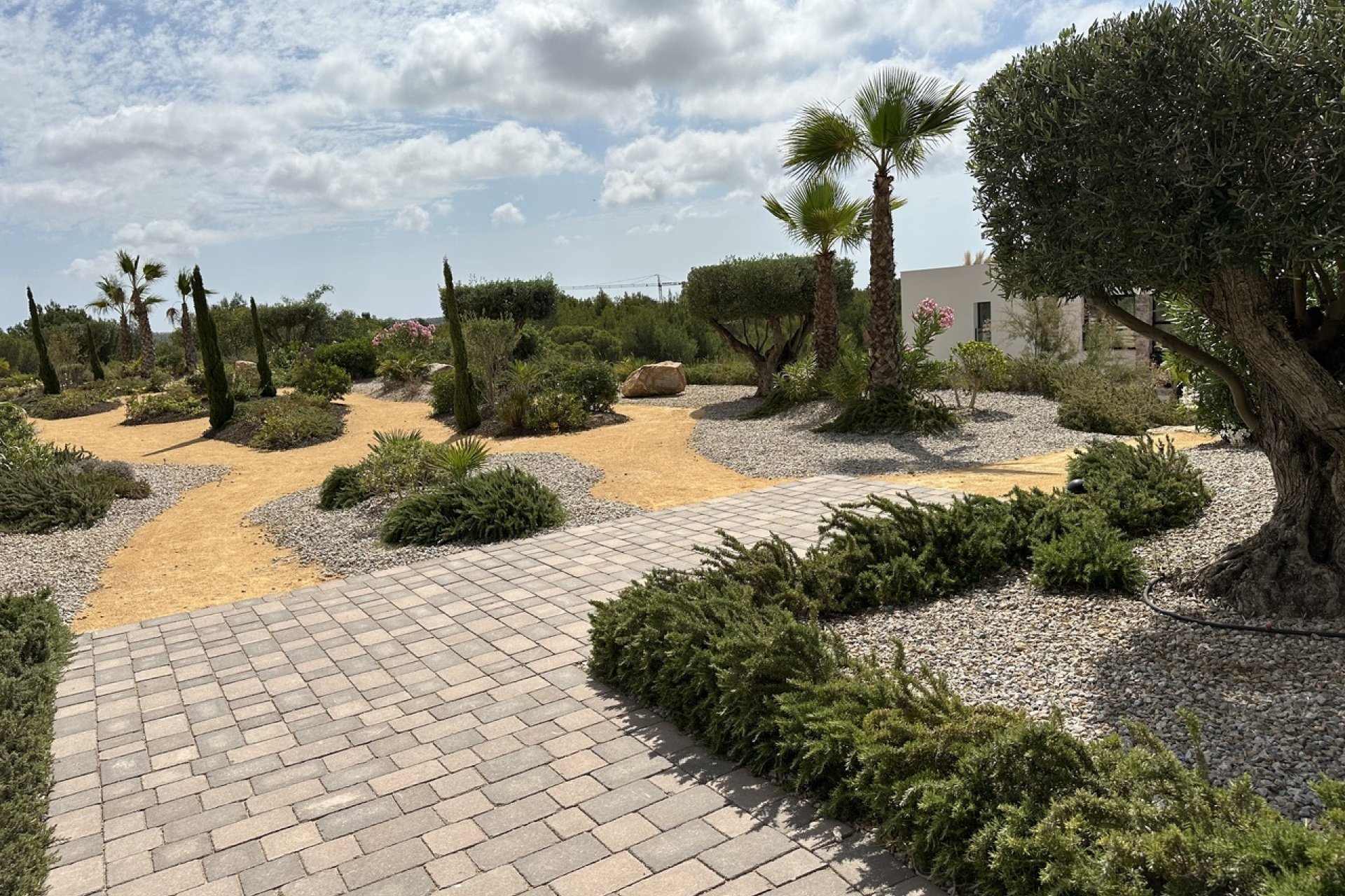 Herverkoop - Appartement - Las Colinas Golf - Las Colinas Golf Resort