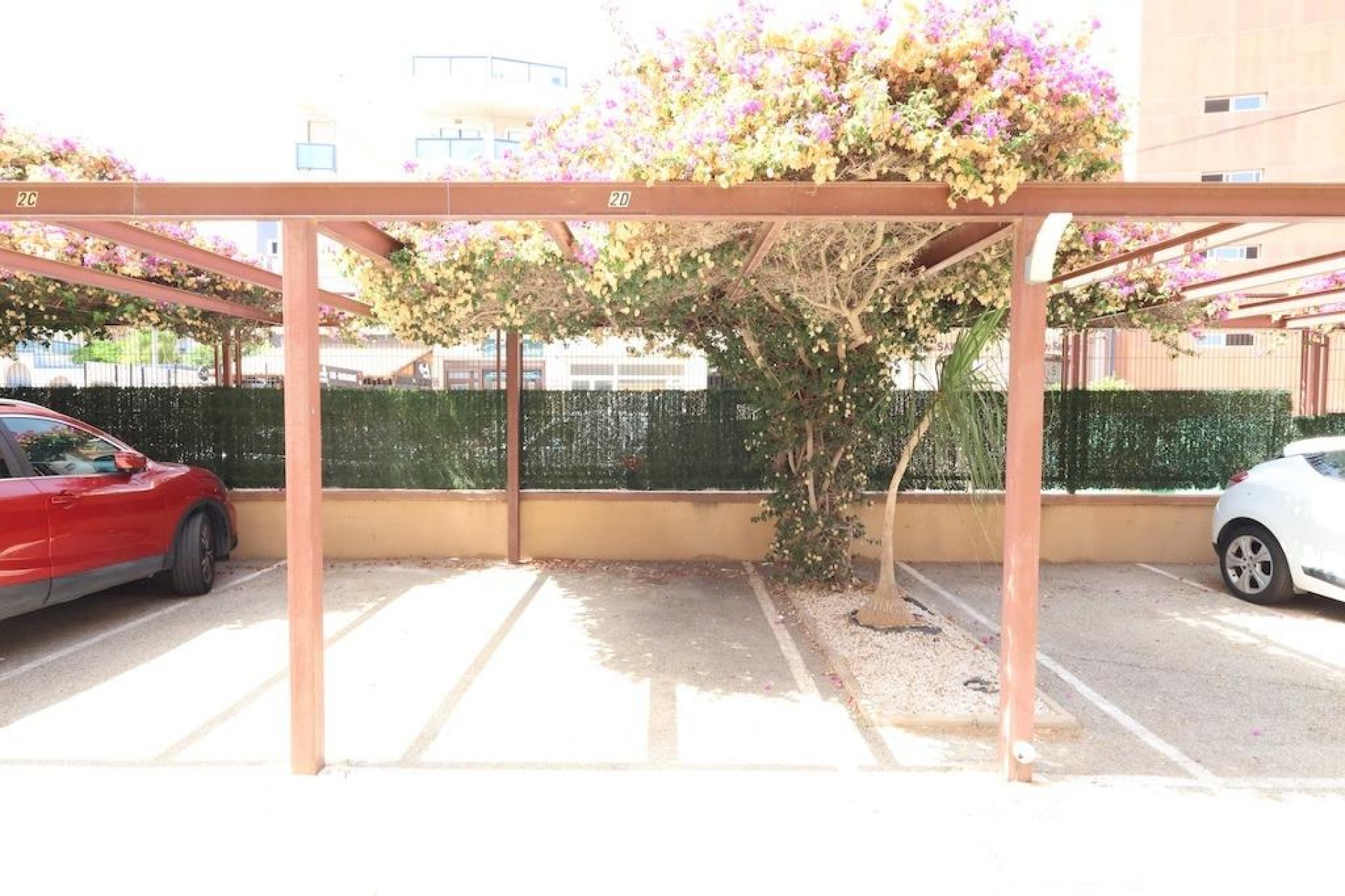 Herverkoop - Appartement - Orihuela Costa - Agua Marina