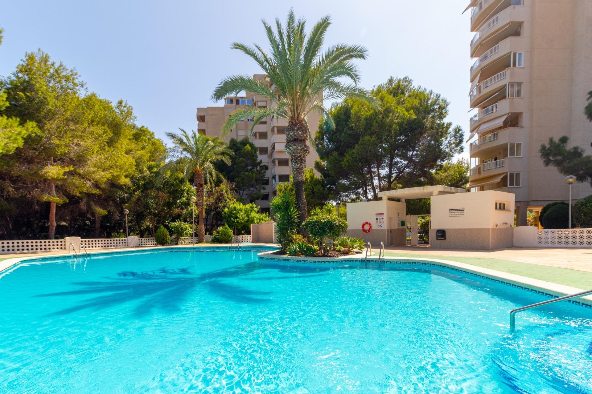 Herverkoop - Appartement - Orihuela Costa - Campoamor
