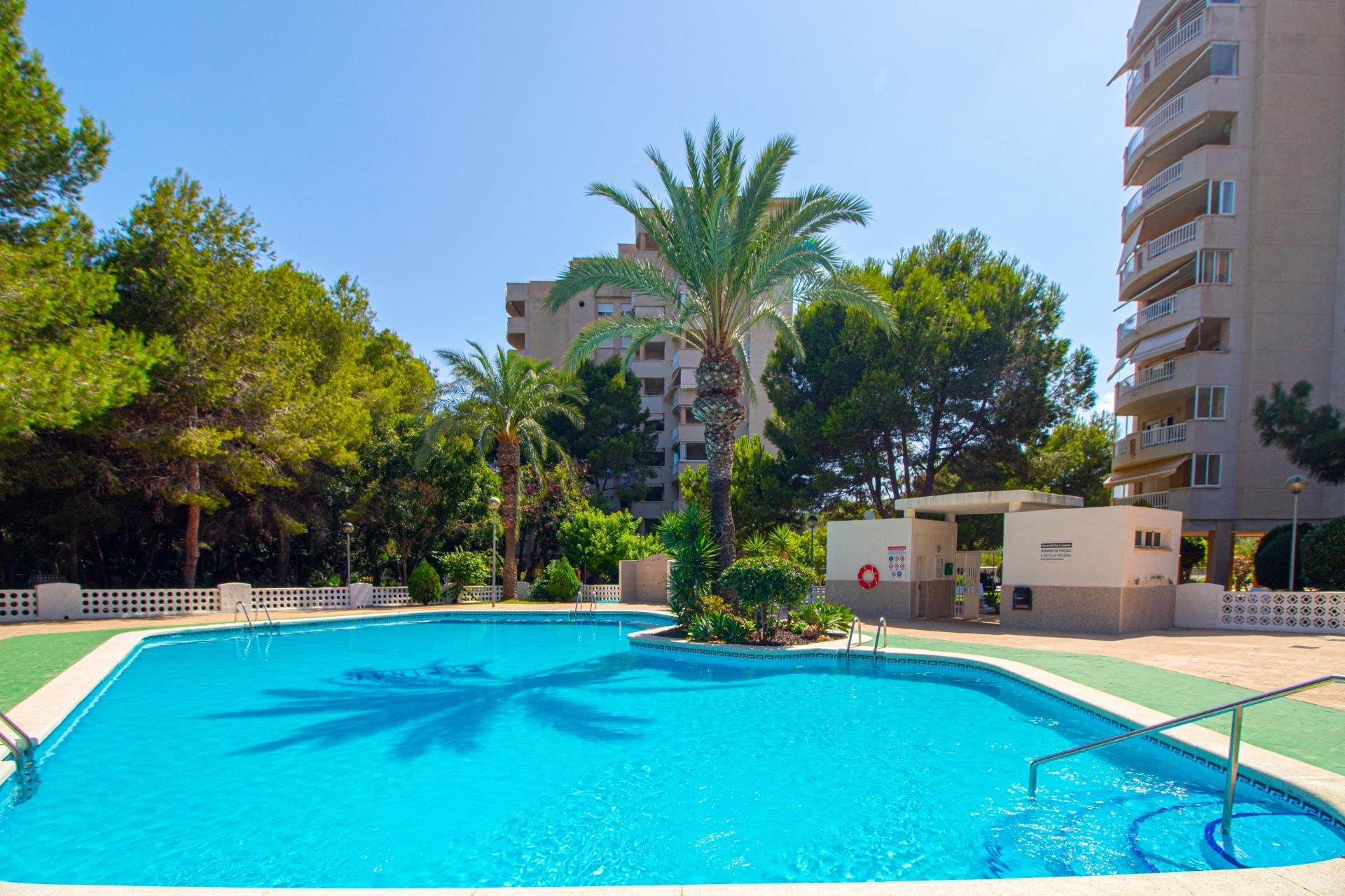 Herverkoop - Appartement - Orihuela Costa - Campoamor