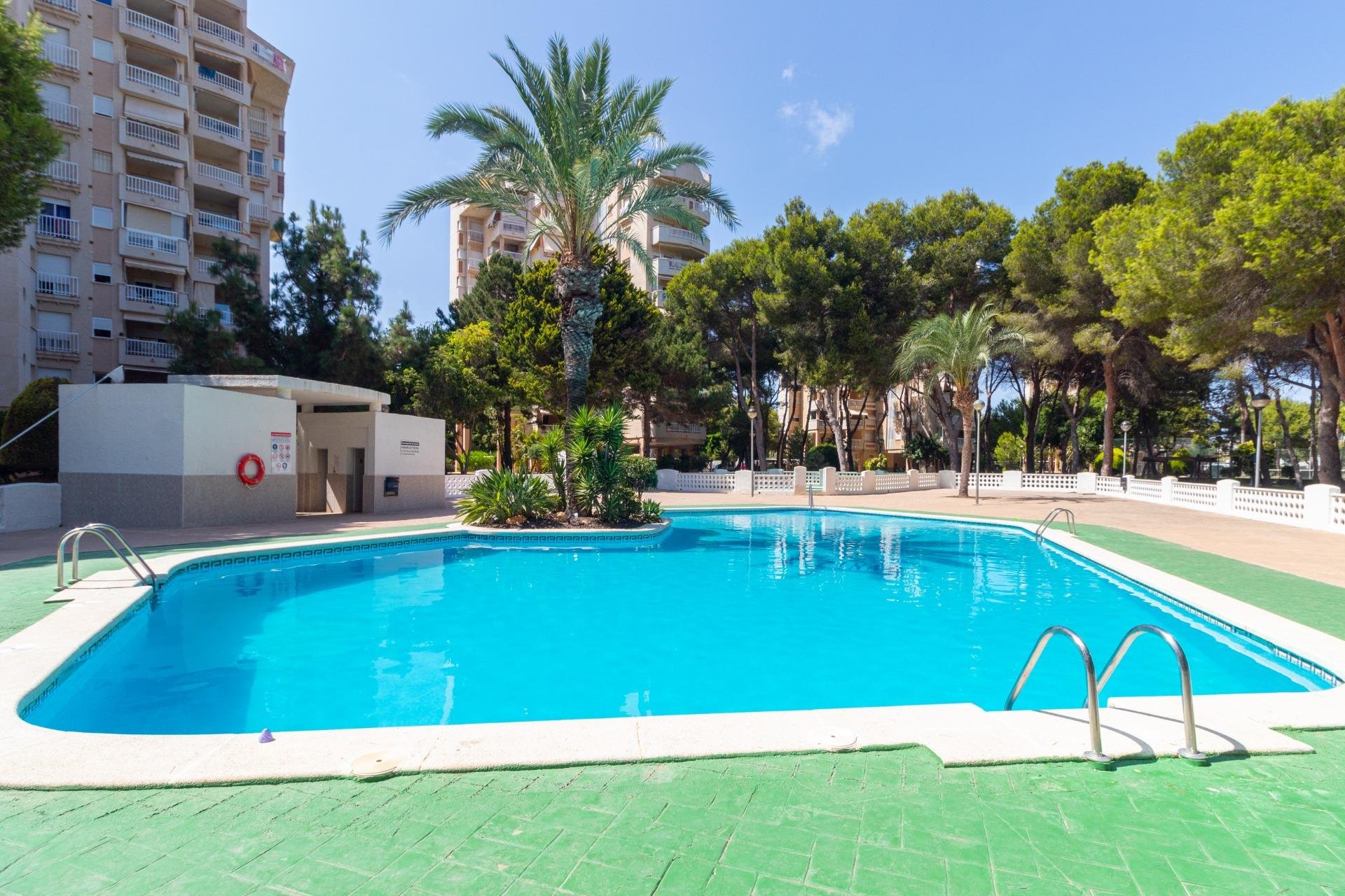 Herverkoop - Appartement - Orihuela Costa - Campoamor