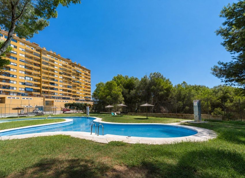 Herverkoop - Appartement - Orihuela Costa - Campoamor
