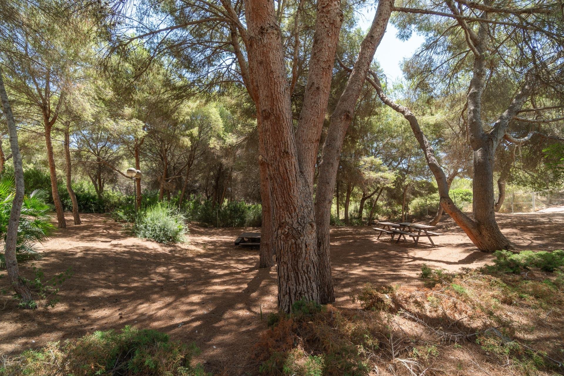 Herverkoop - Appartement - Orihuela Costa - Campoamor