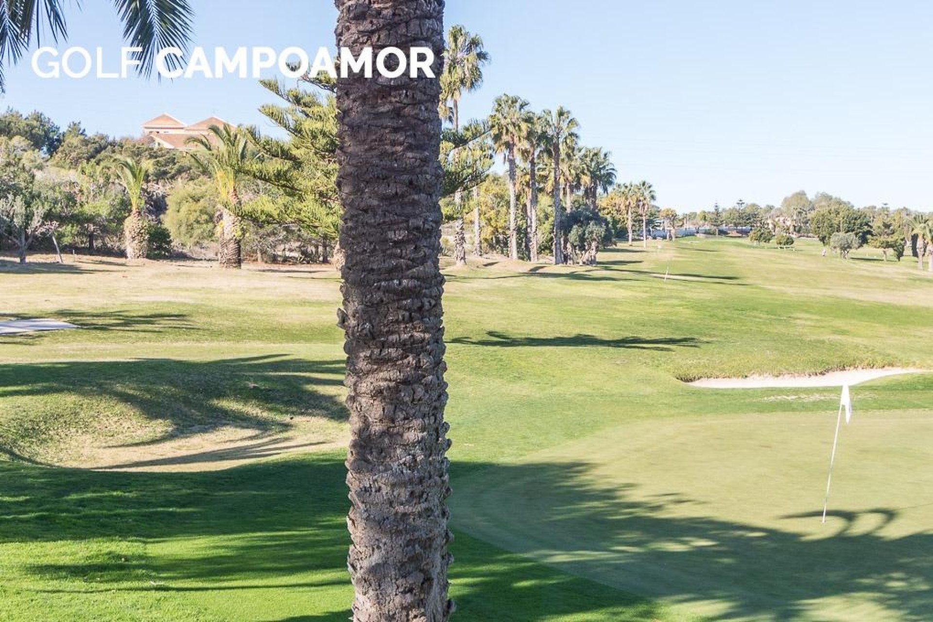 Herverkoop - Appartement - Orihuela Costa - Campoamor