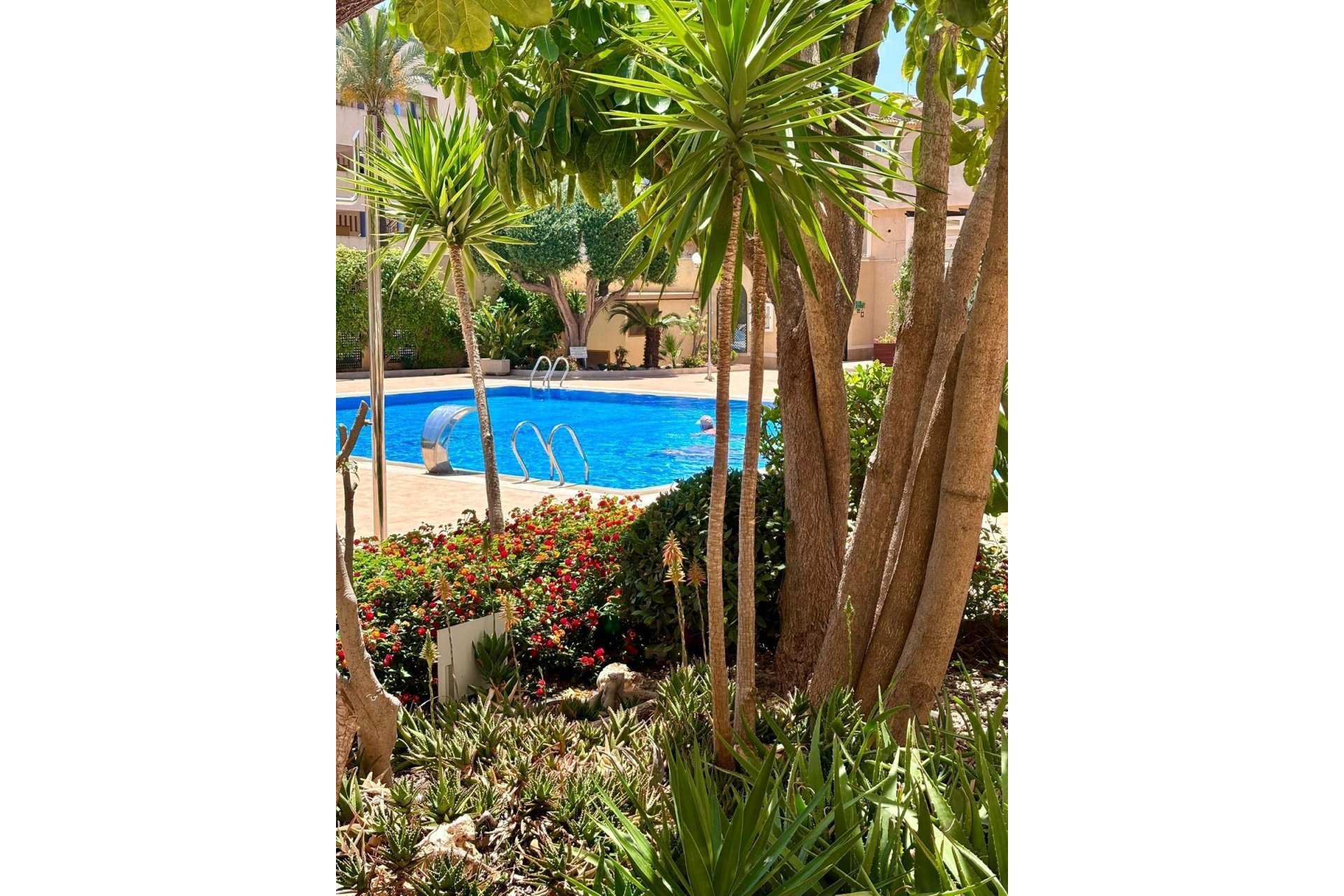 Herverkoop - Appartement - Orihuela Costa - Campoamor