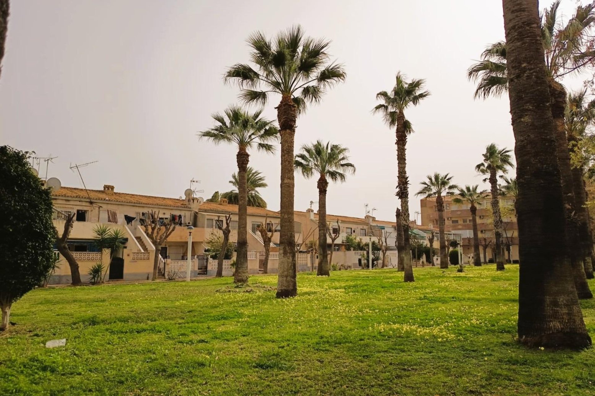 Herverkoop - Appartement - Orihuela Costa - La Regia