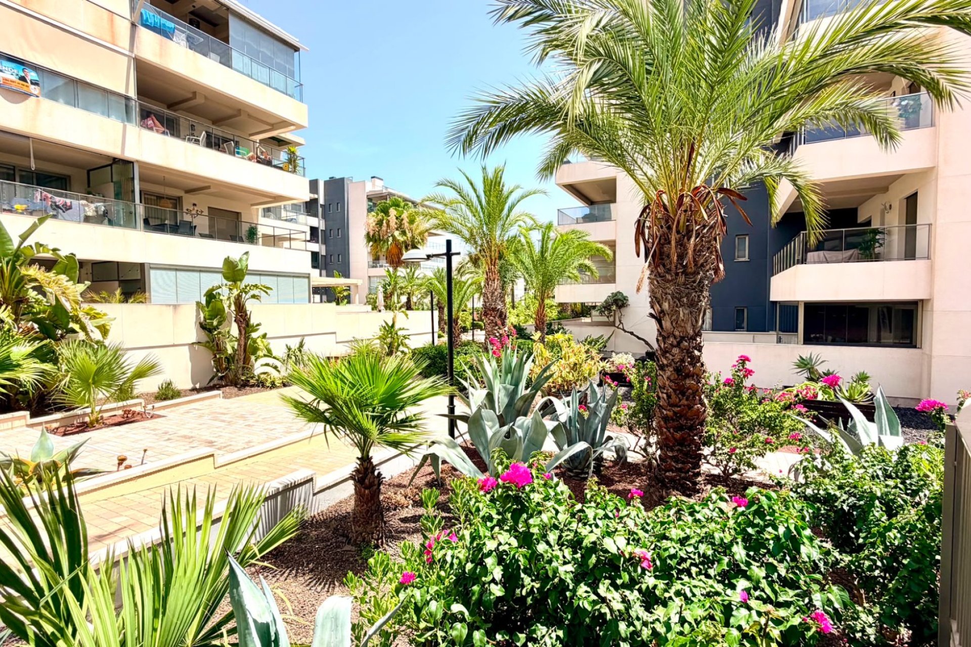 Herverkoop - Appartement - Orihuela Costa - La Zenia