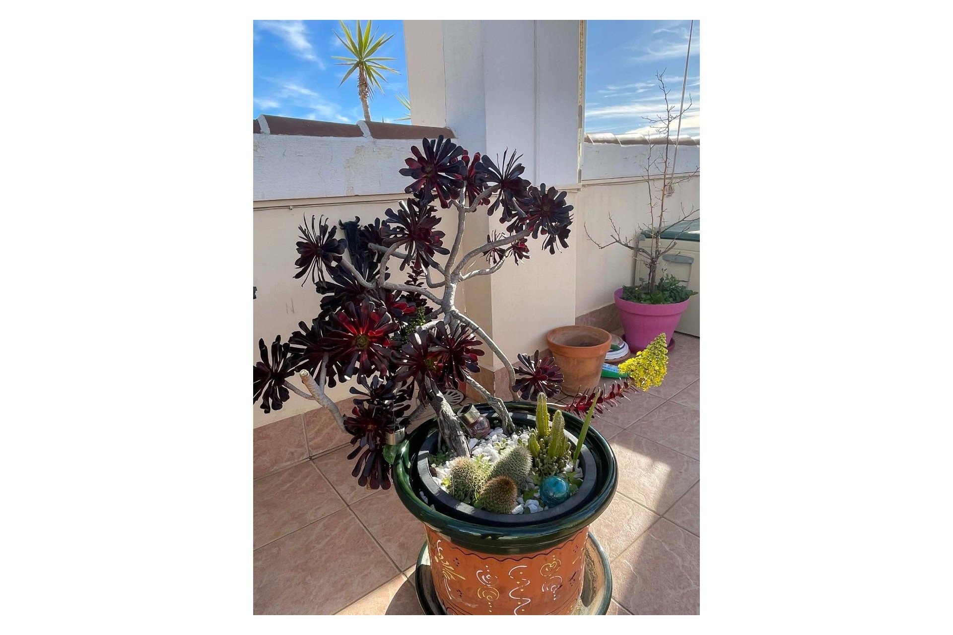 Herverkoop - Appartement - Orihuela Costa - Los Altos