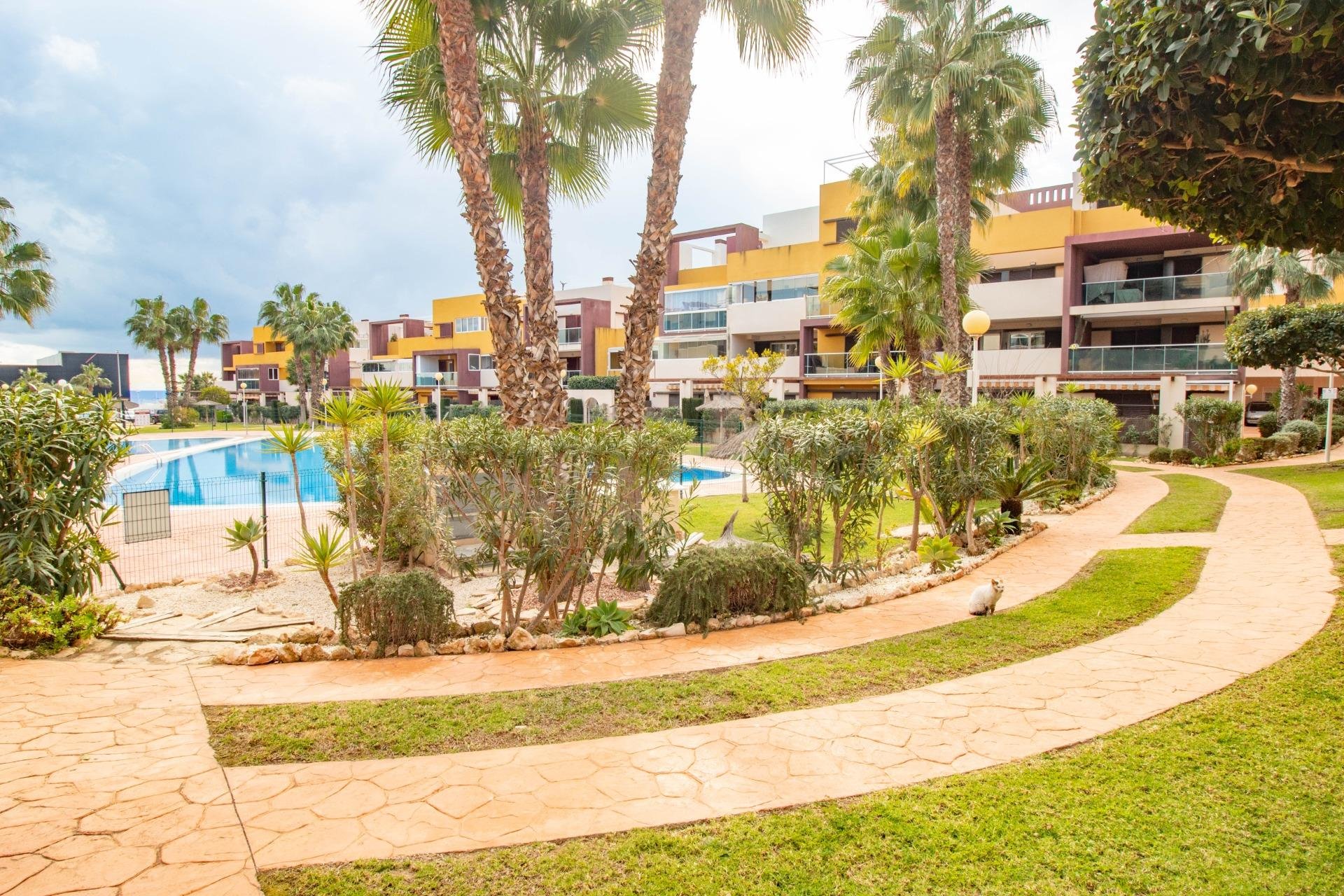 Herverkoop - Appartement - Orihuela Costa - Playa Flamenca