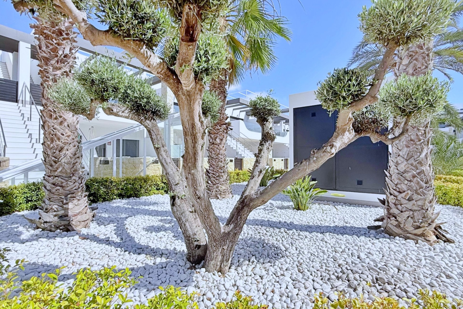 Herverkoop - Appartement - Orihuela Costa - Punta Prima