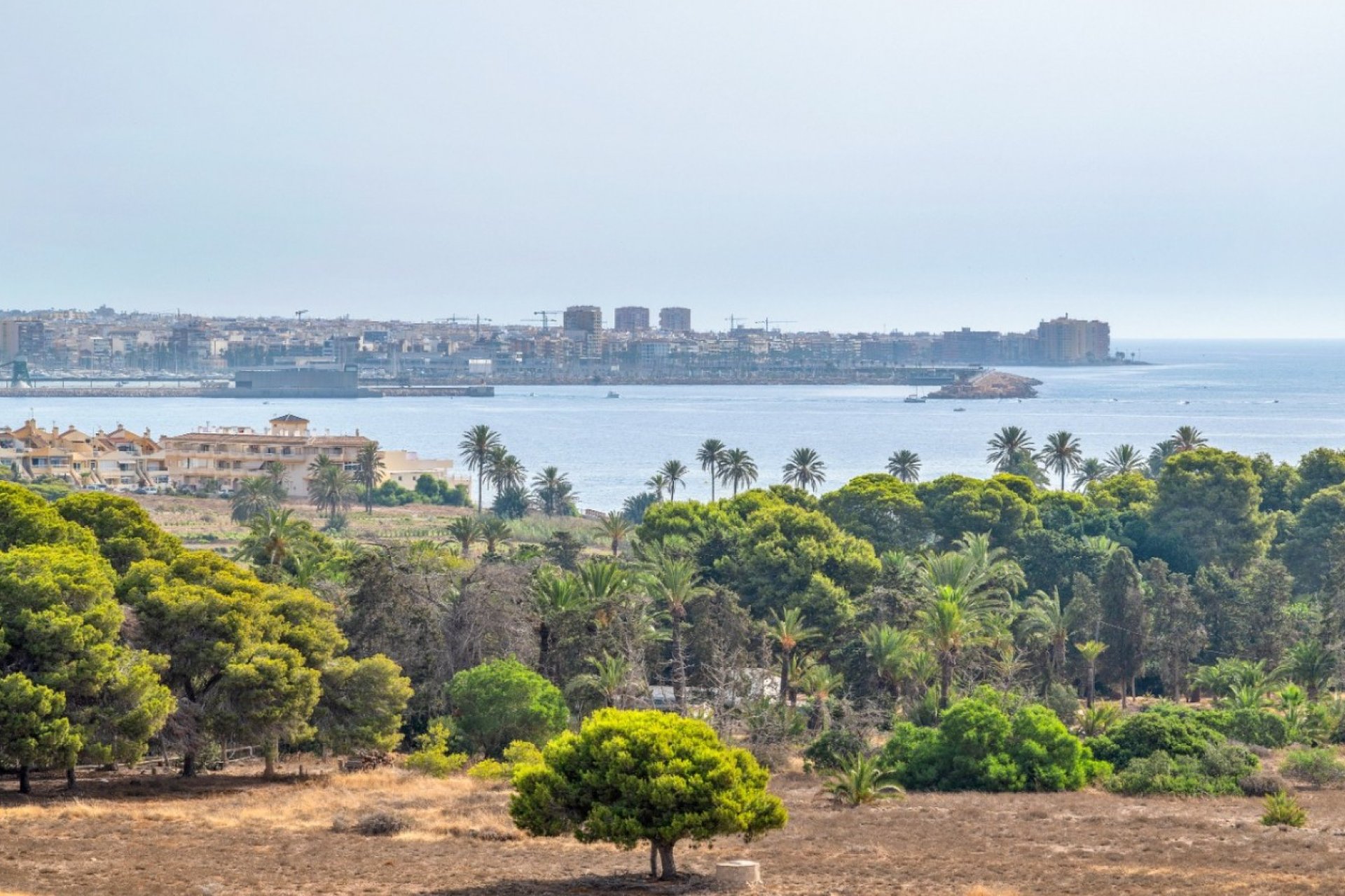 Herverkoop - Appartement - Orihuela Costa - Punta Prima