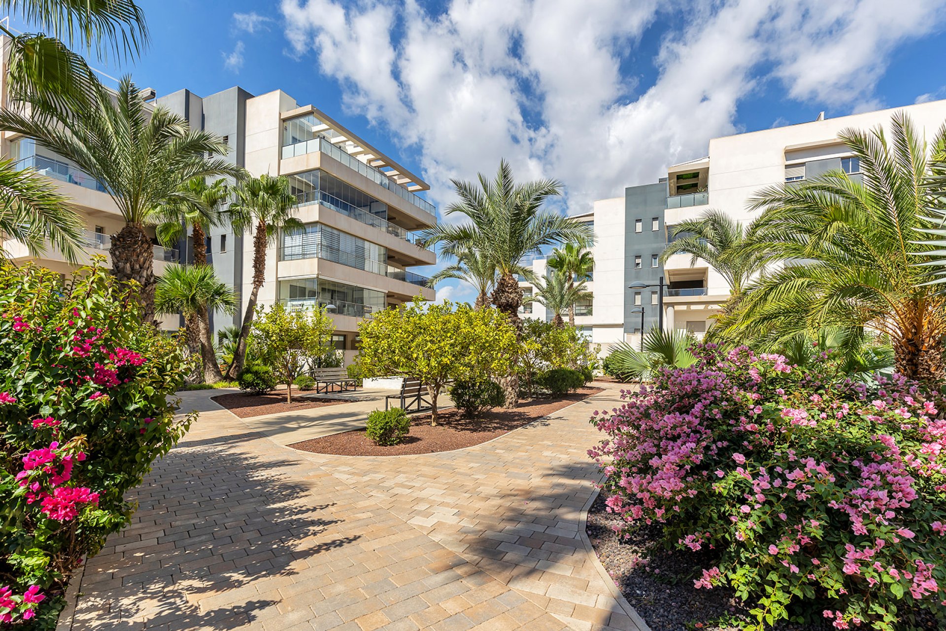 Herverkoop - Appartement - Orihuela Costa - Villamartín
