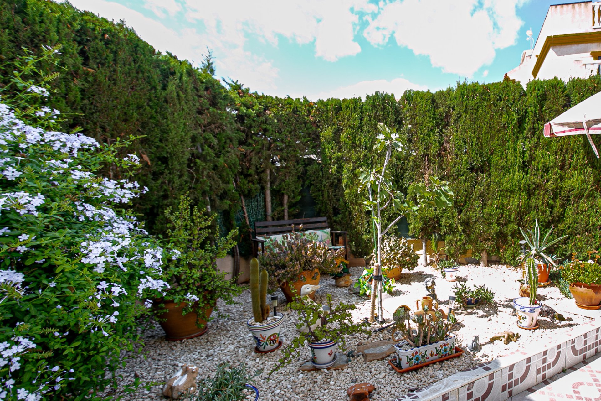 Herverkoop - Appartement - Playa Flamenca