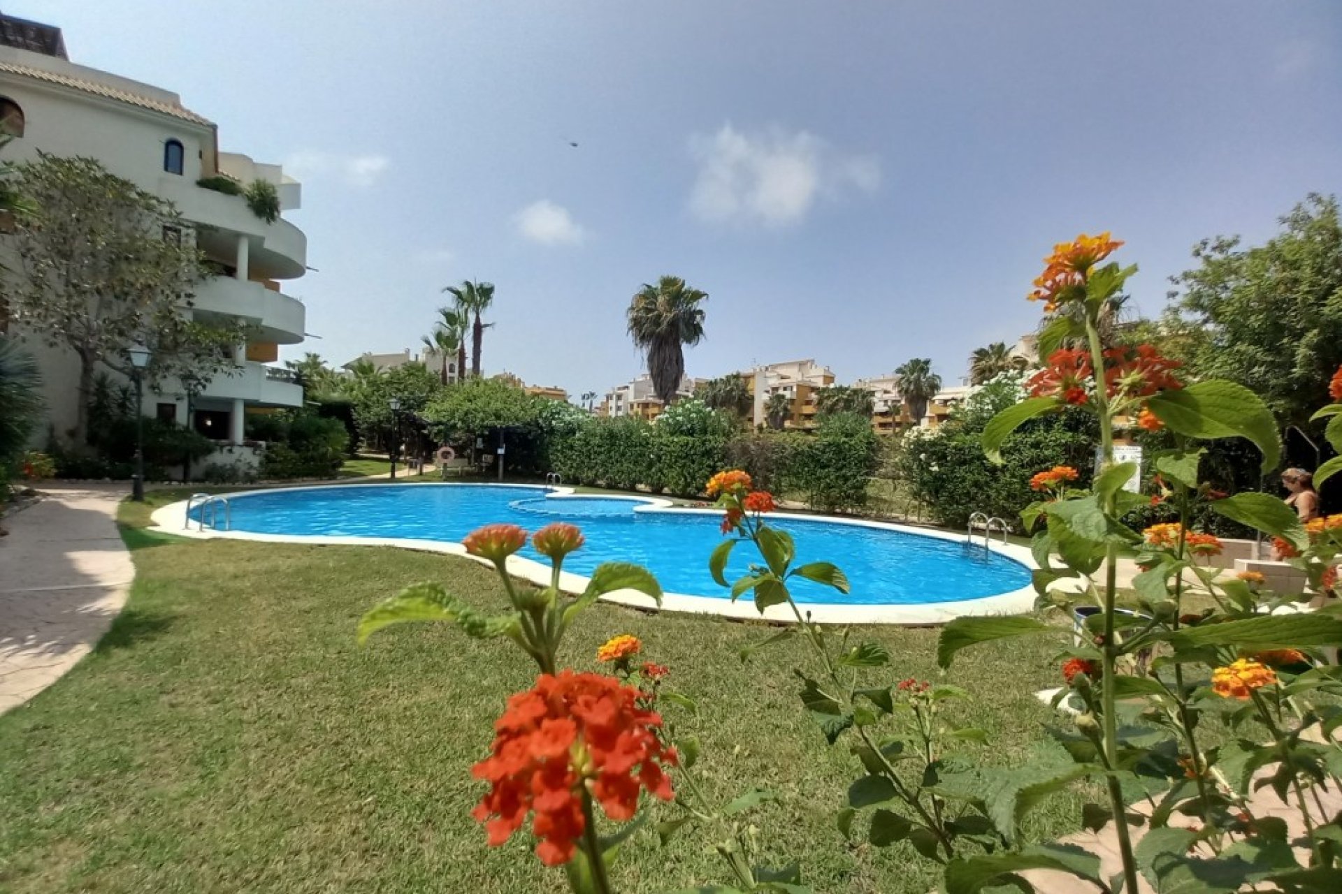 Herverkoop - Appartement - Punta Prima