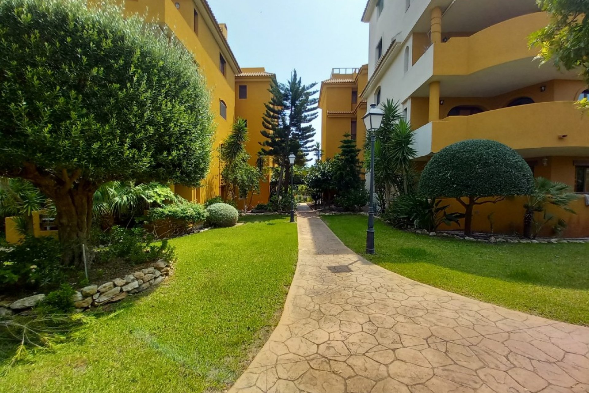 Herverkoop - Appartement - Punta Prima
