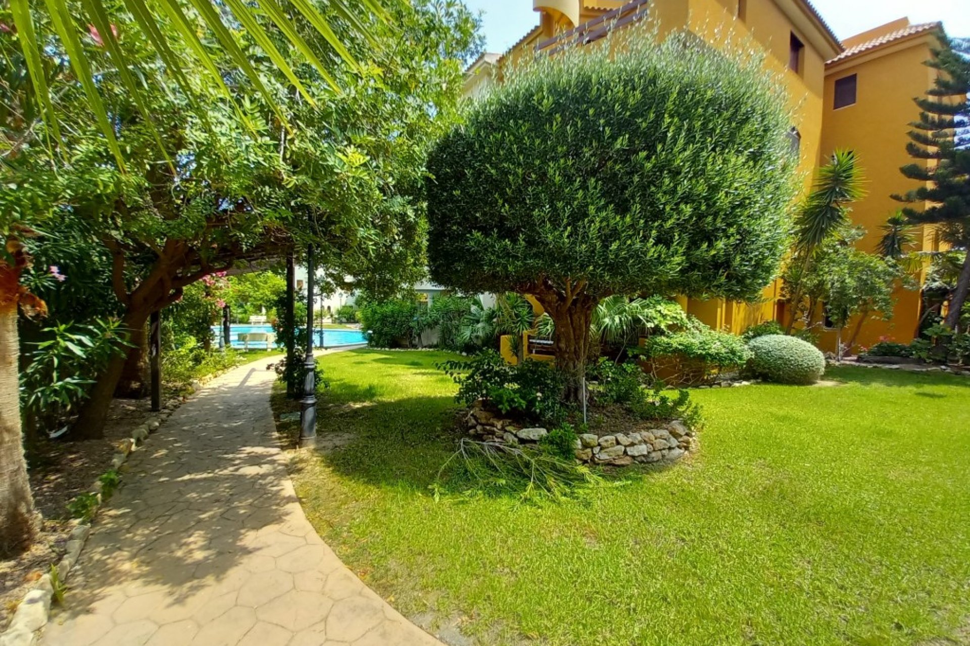 Herverkoop - Appartement - Punta Prima