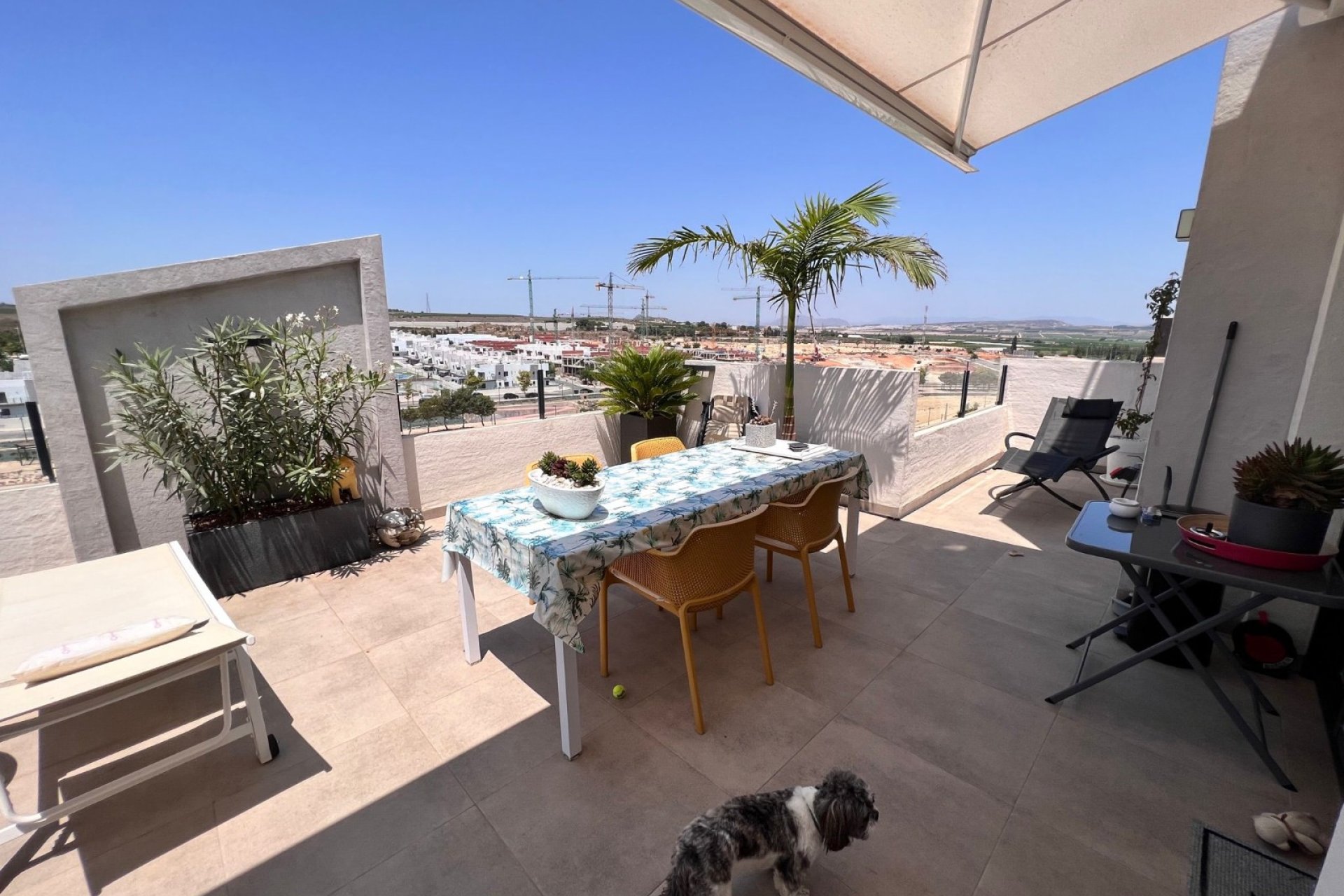 Herverkoop - Appartement - San Miguel de Salinas