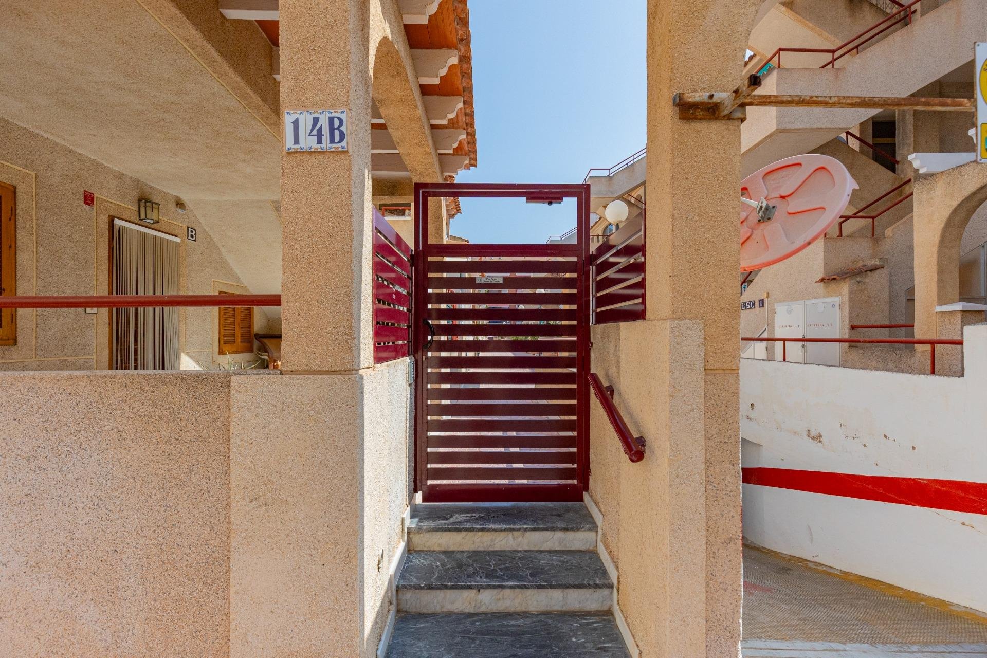 Herverkoop - Appartement - Torrevieja - Acequion