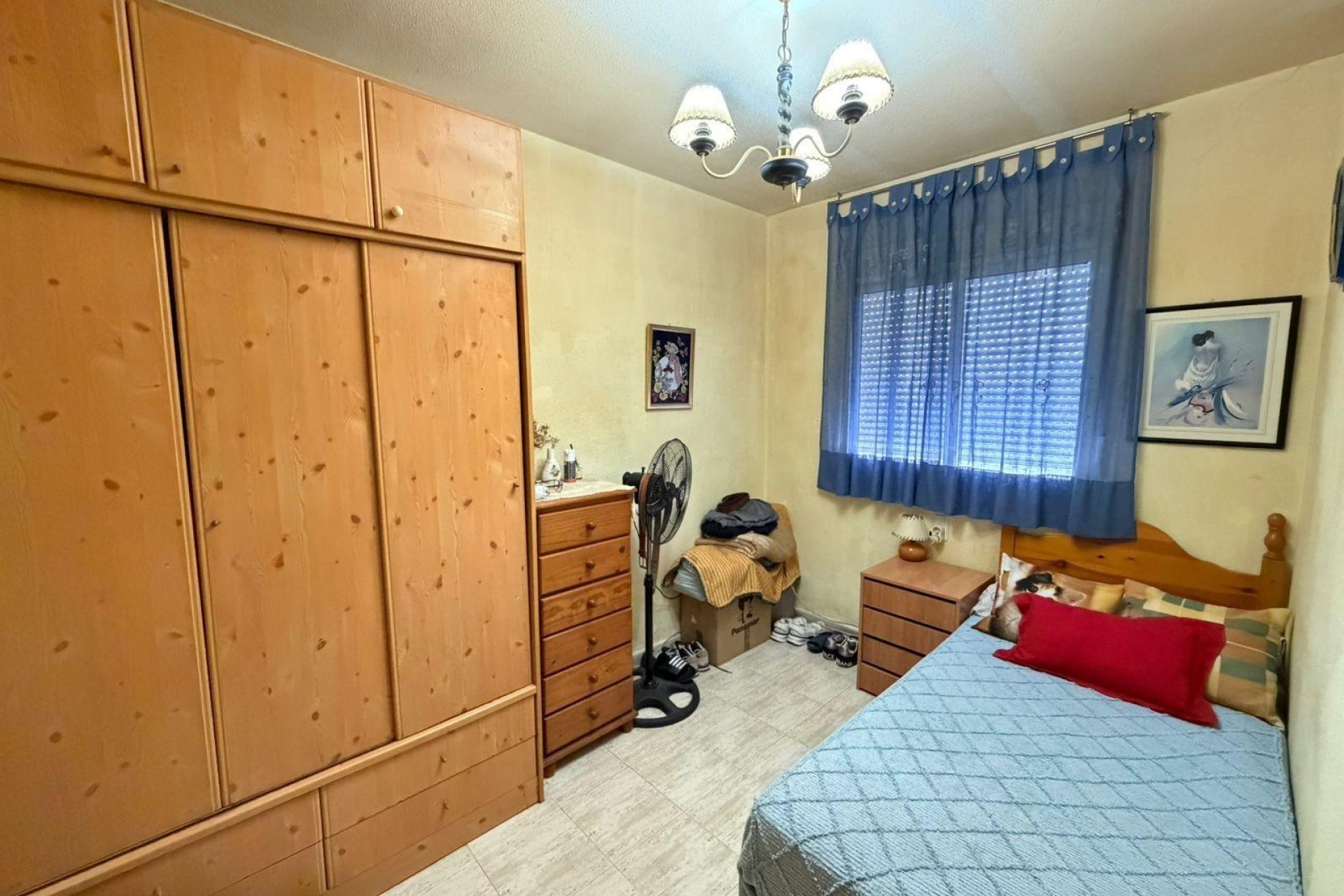 Herverkoop - Appartement - Torrevieja - Acequion