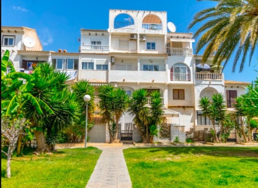 Herverkoop - Appartement - Torrevieja - Calas blanca