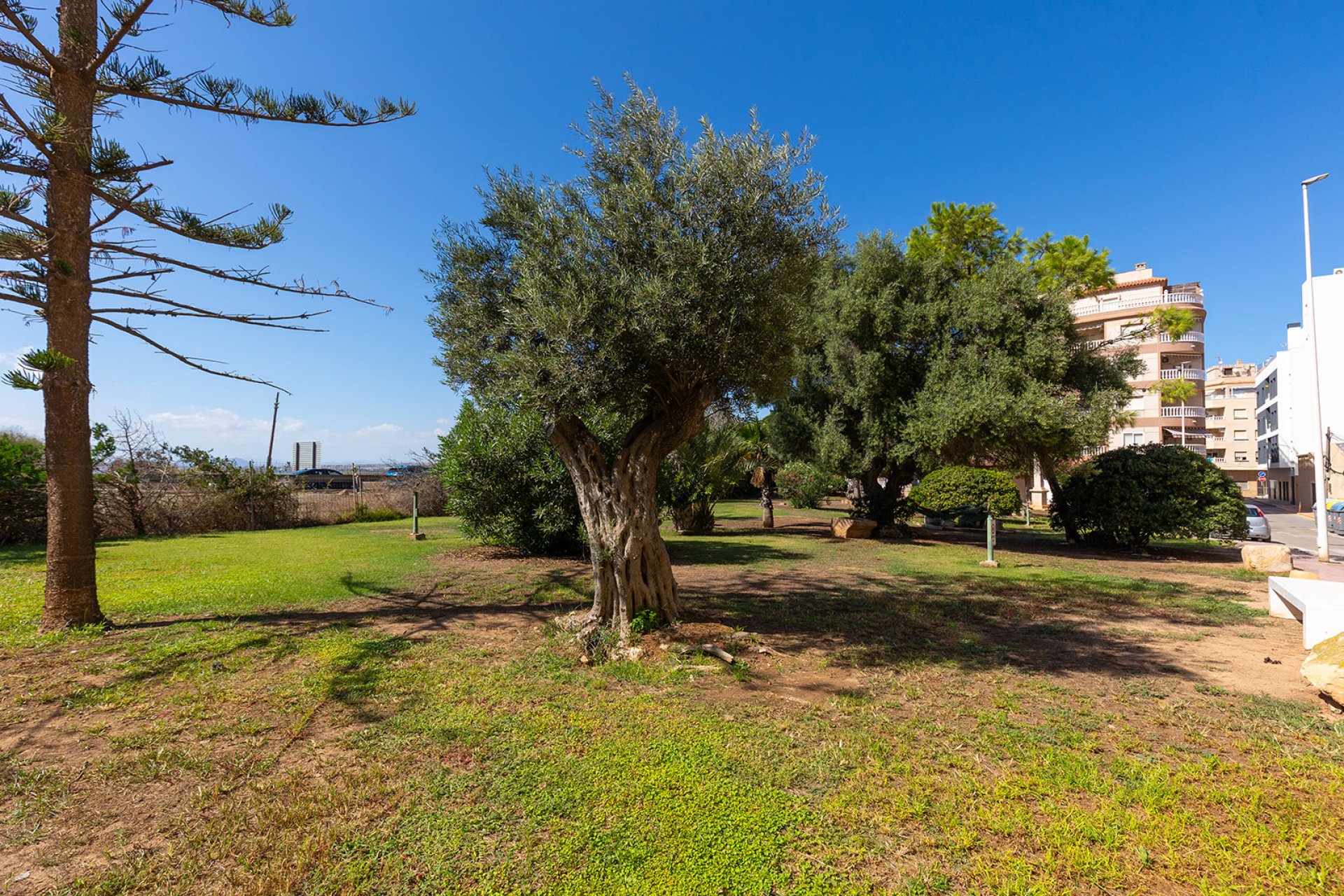 Herverkoop - Appartement - Torrevieja - La Mata