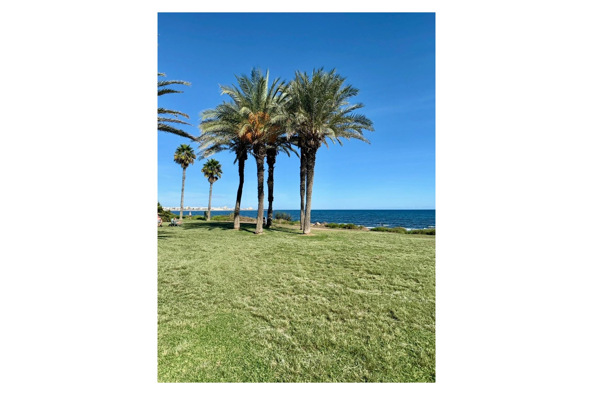 Herverkoop - Appartement - Torrevieja - La Veleta