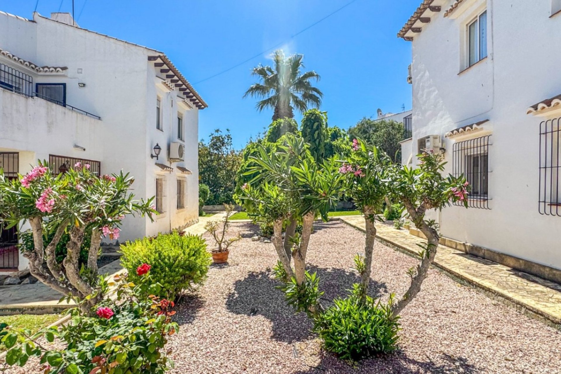 Herverkoop - Appartement - Torrevieja - Los Balcones
