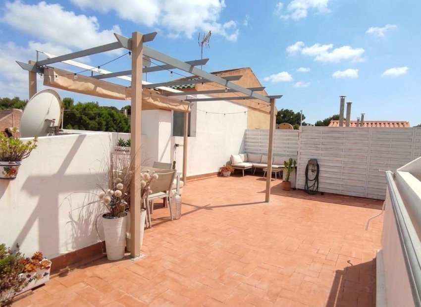 Herverkoop - Appartement - Torrevieja - Los Balcones