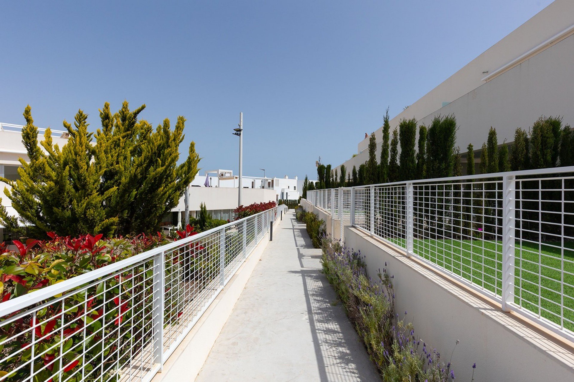 Herverkoop - Appartement - Torrevieja - Los Balcones