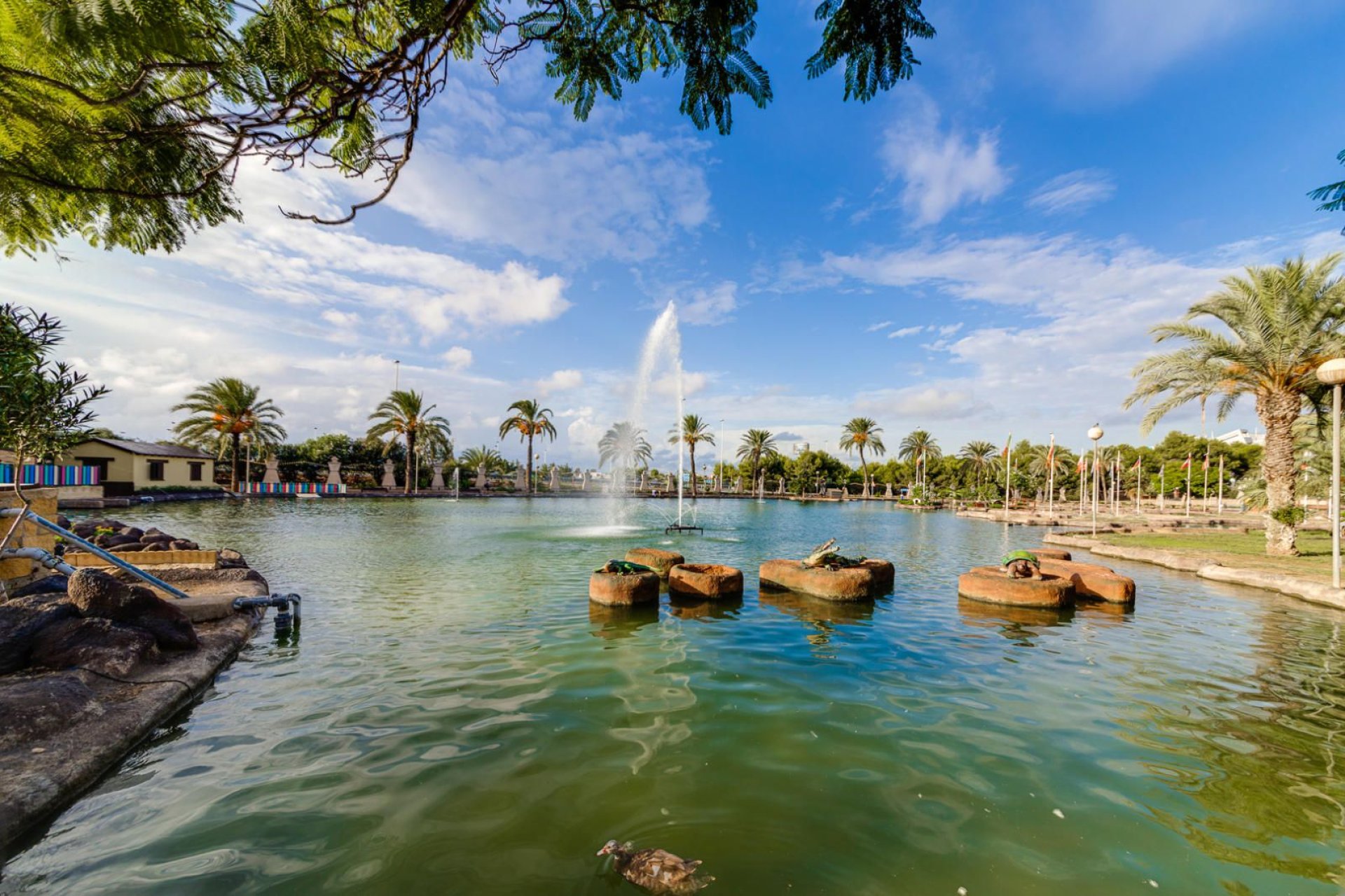 Herverkoop - Appartement - Torrevieja - Parque de las Naciones