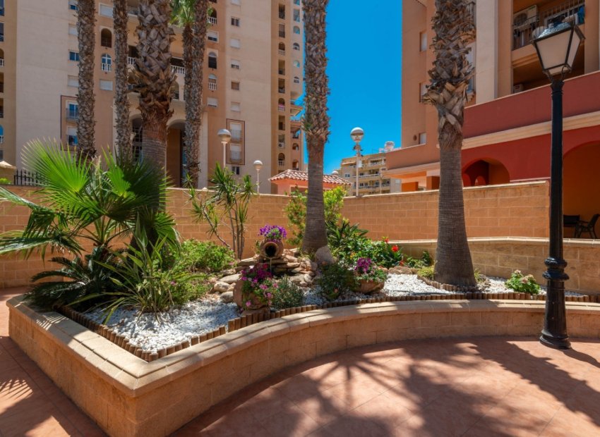 Herverkoop - Appartement - Torrevieja - Playa de los Locos