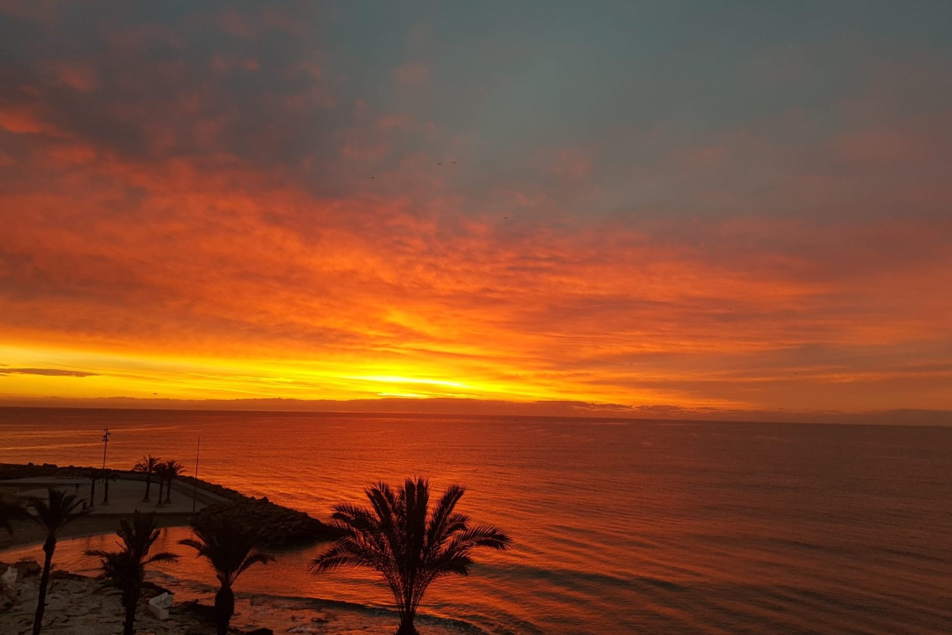 Herverkoop - Appartement - Torrevieja - Playa del Cura