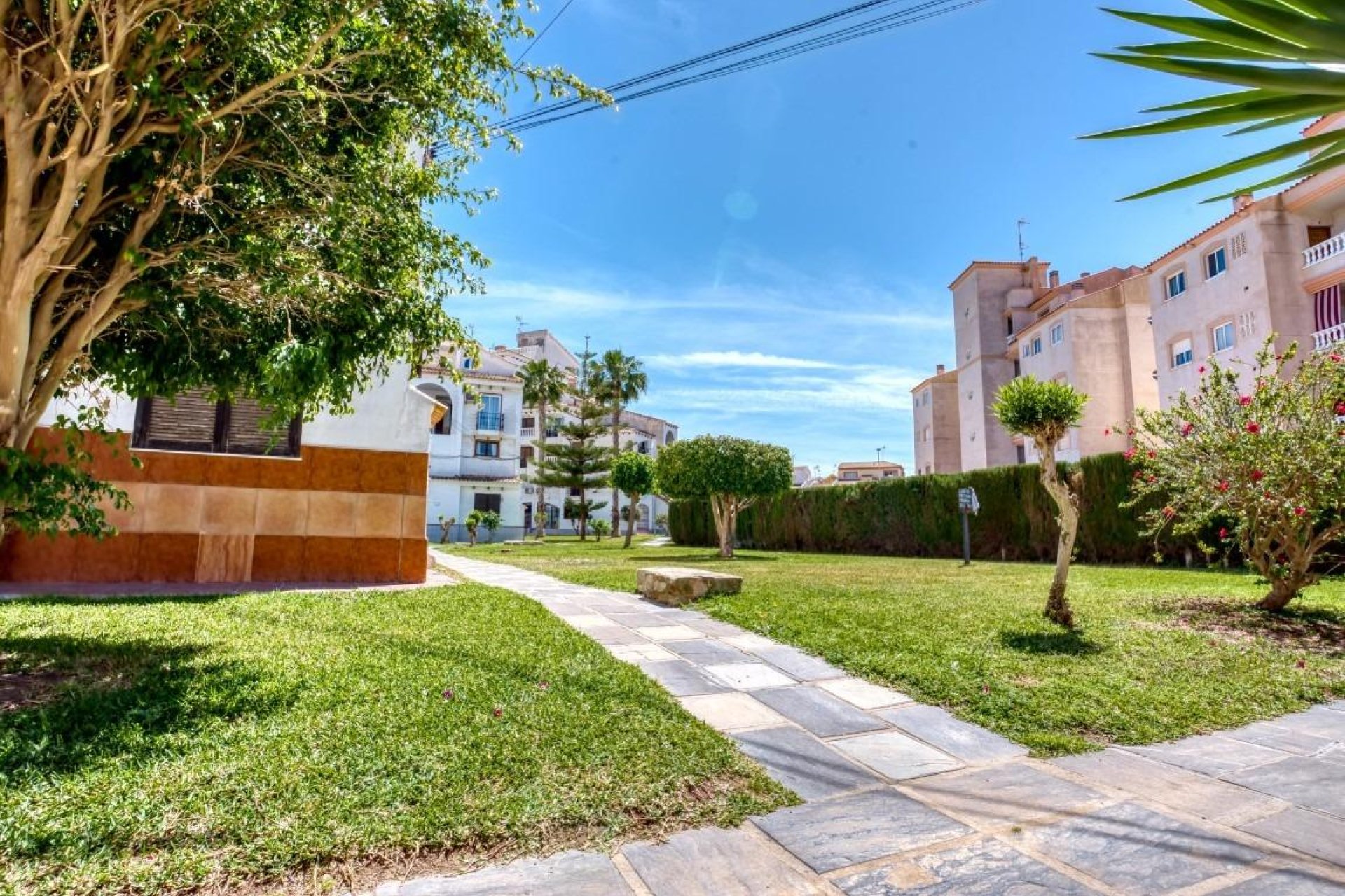 Herverkoop - Appartement - Torrevieja - Playa del Cura