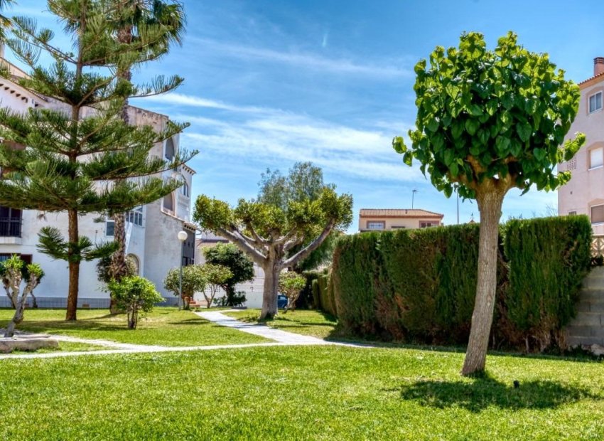 Herverkoop - Appartement - Torrevieja - Playa del Cura