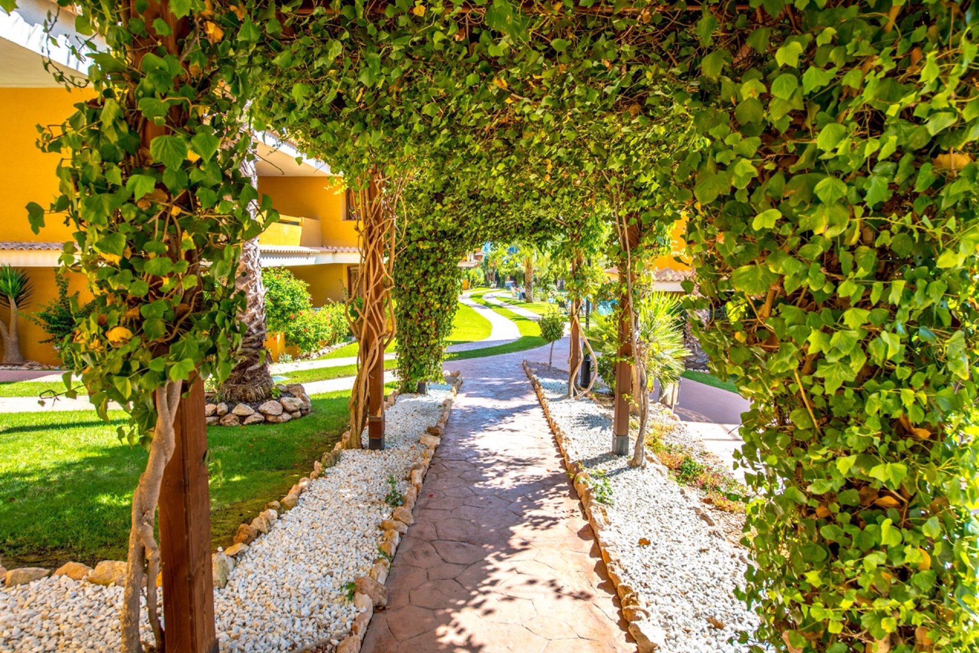 Herverkoop - Appartement - Torrevieja - Punta Prima