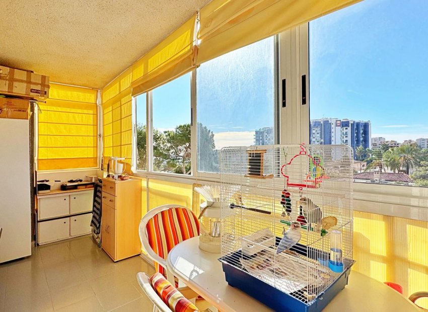 Herverkoop - Appartement - Torrevieja - Rocio del Mar