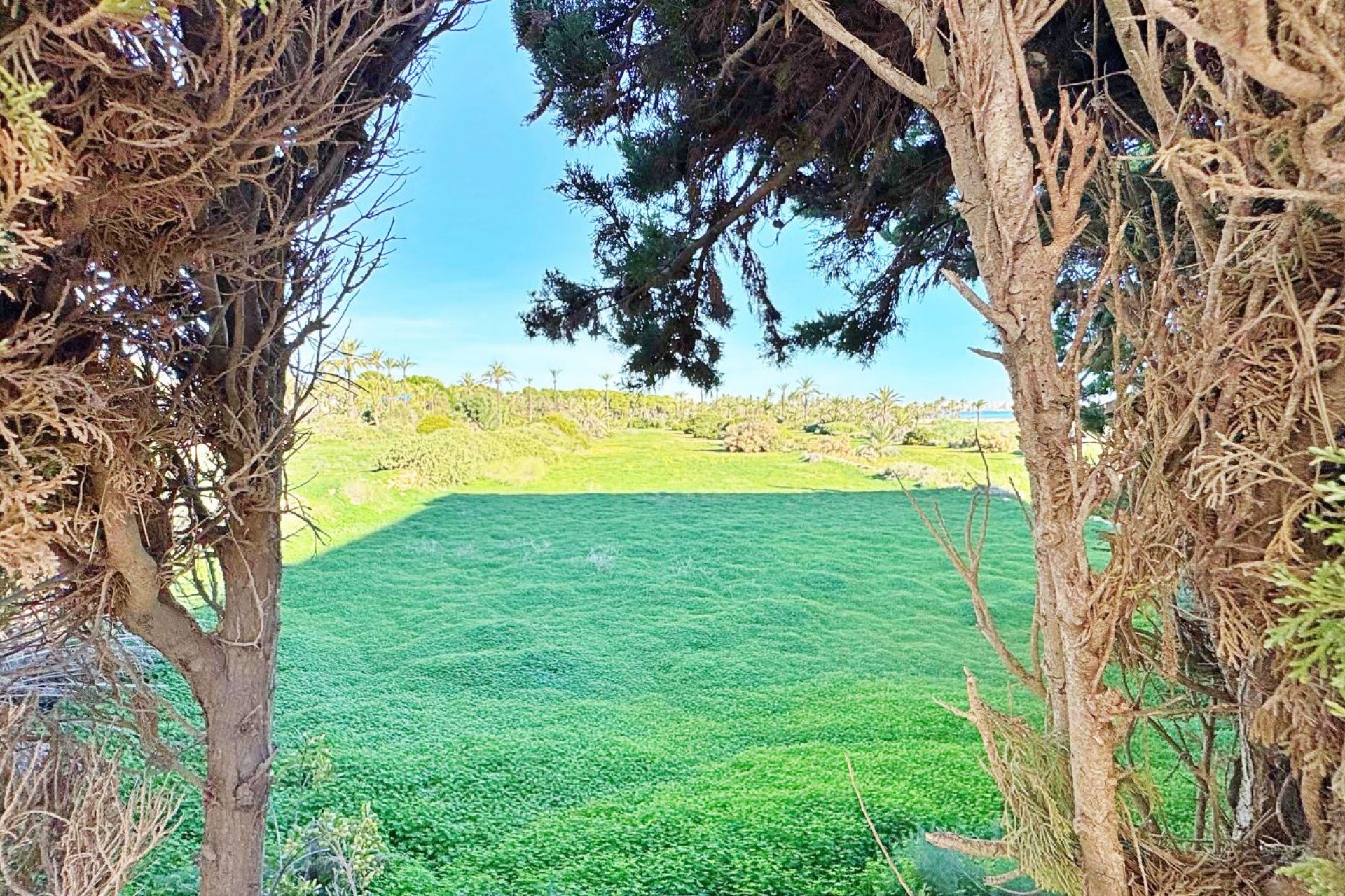 Herverkoop - Appartement - Torrevieja - Rocio del Mar