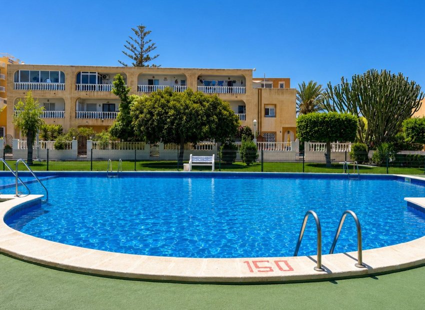 Herverkoop - Appartement - Torrevieja - Torreblanca