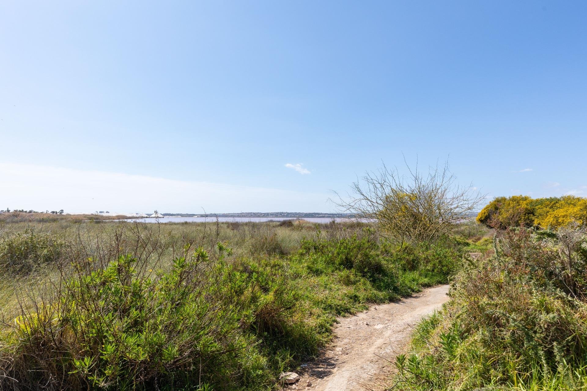 Herverkoop - Appartement - Torrevieja - Torretas