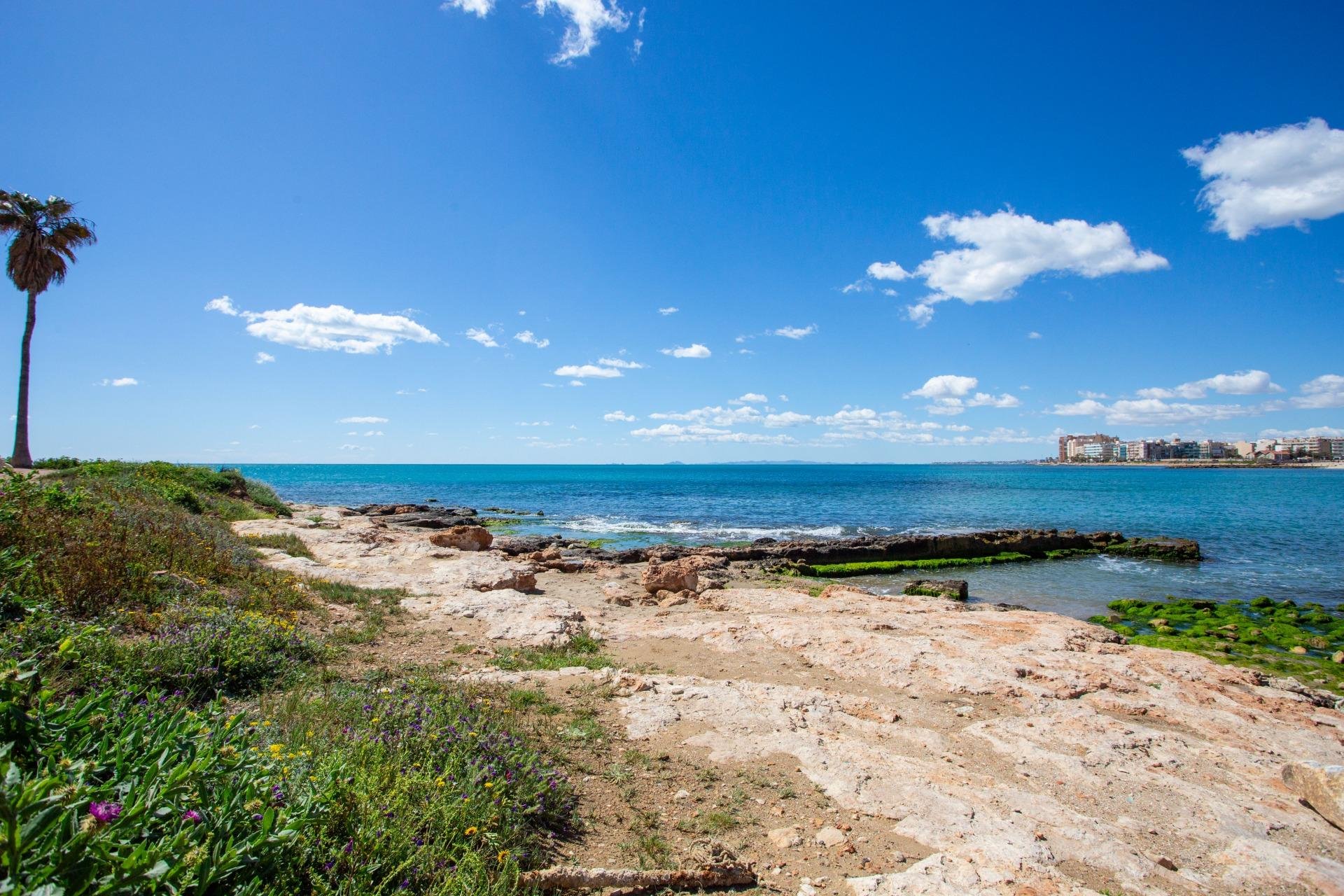 Herverkoop - Appartement - Torrevieja