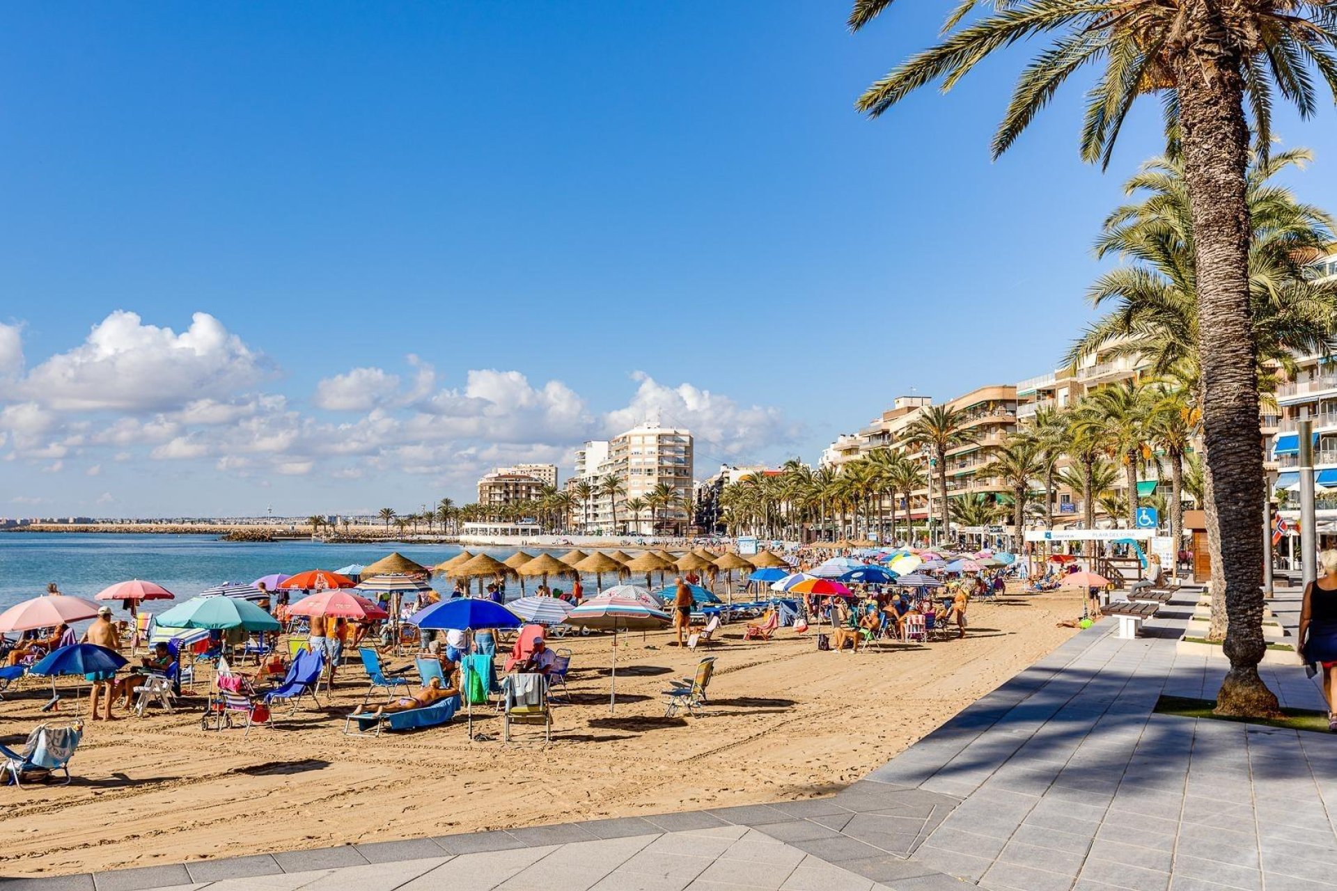 Herverkoop - Appartement - Torrevieja