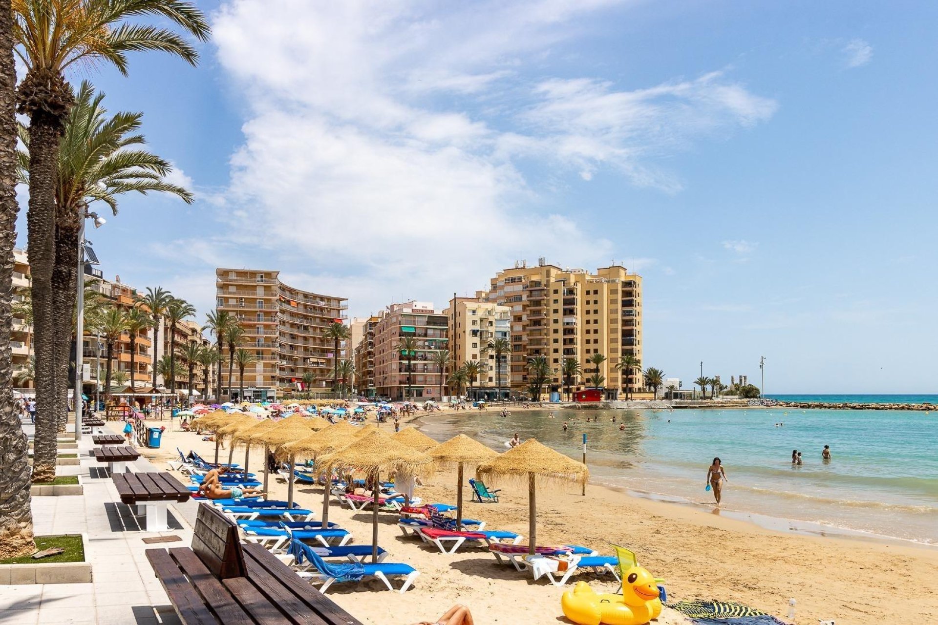 Herverkoop - Appartement - Torrevieja
