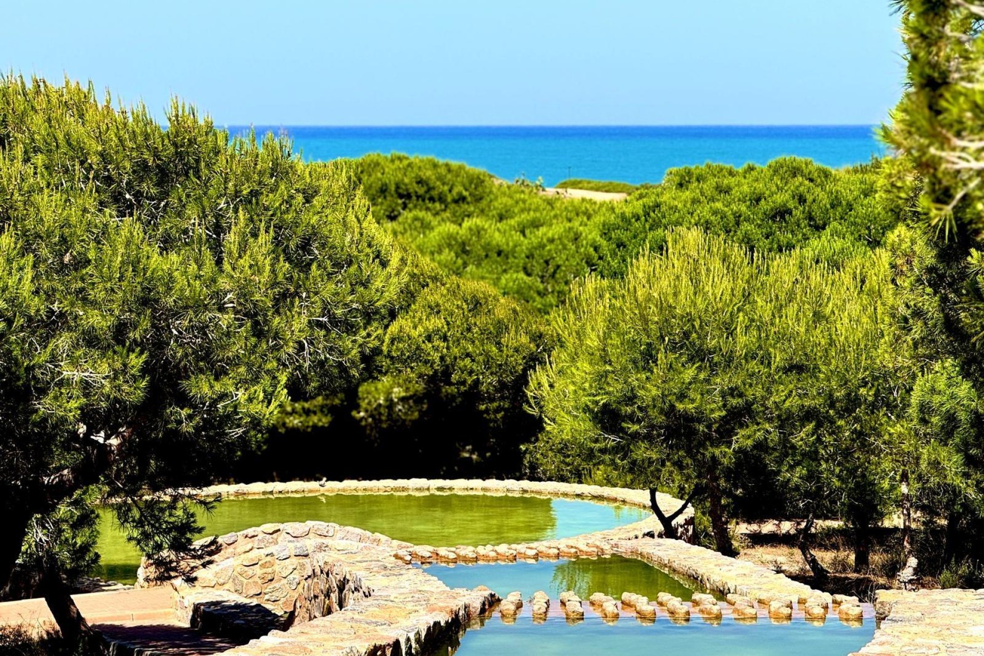 Herverkoop - Appartement - Torrevieja