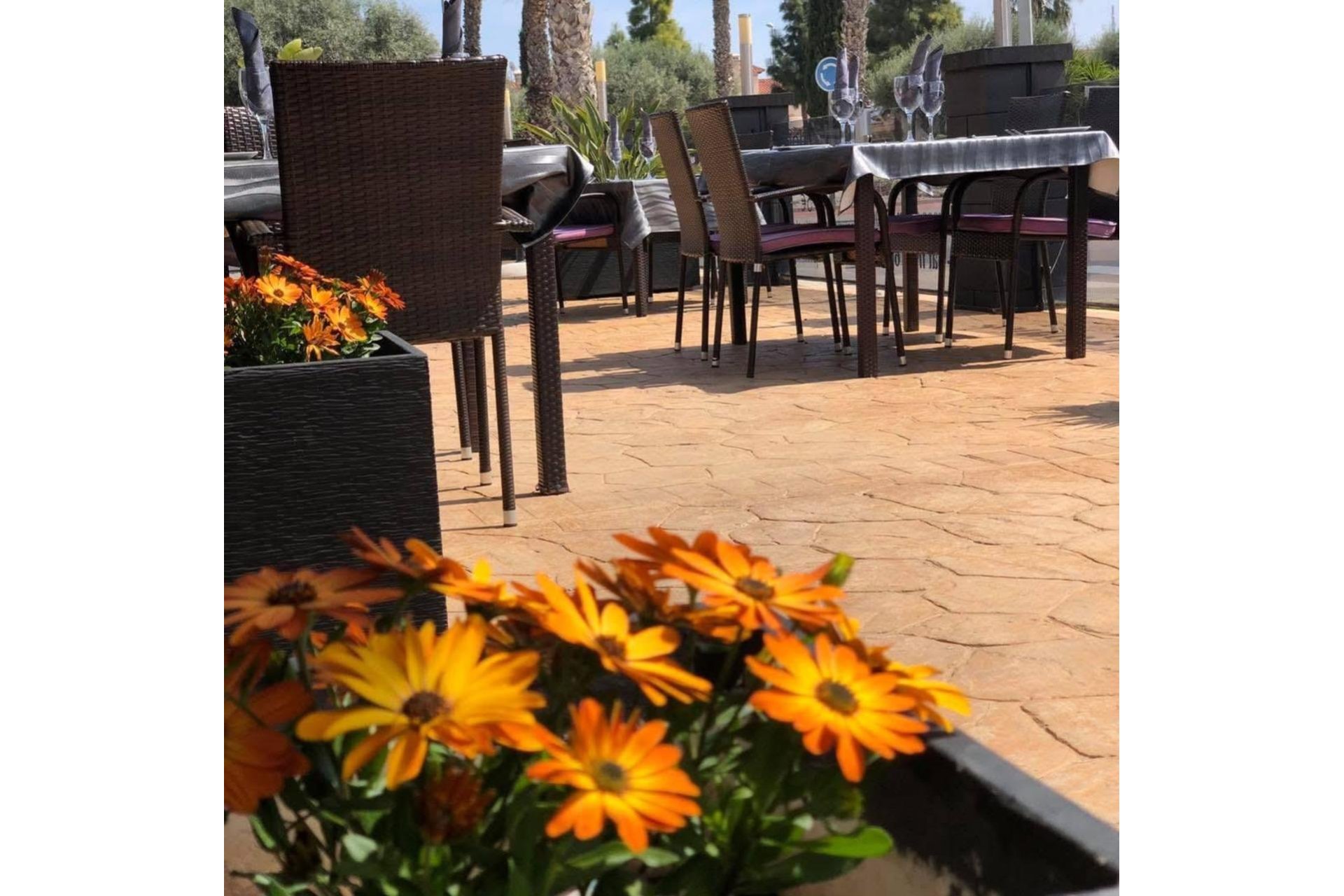 Herverkoop - Commercieel - Guardamar del Segura