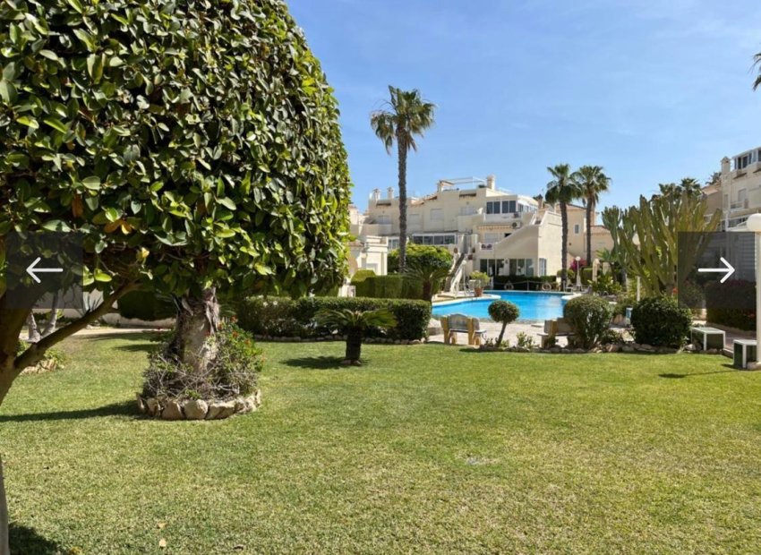 Herverkoop - duplex - Orihuela Costa - Punta Prima